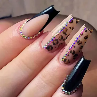 Bougainvillaea For Tammy' Purple Leopard Nails