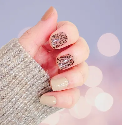 Box Haze Blue Leopard Print Full Cover Leopard Print Nails Fashionable  Christmas French Ballet Nail Tips With Detachable Ultra Thin False Nips  From Goodfeeling1dhgate, $38.84 | DHgate.Com