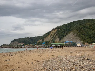 Пляж \"Золотой берег\" в Лермонтово 2019, фото отдыха на пляже в Лермонтово |  Блог ТВИЛ