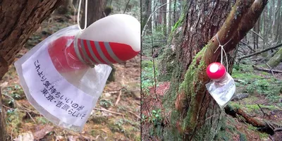 Âme Noire - Лес самоубийц в Японии Подножие горы Фудзи славится своей  тёмной репутацией. В Японии густой лес, находящийся в районе многолетней  вулканической активности, по неведомой причине привлекает к себе самоубийц.  Именно
