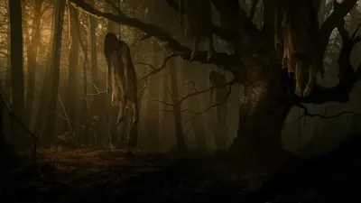 Аокигахара - лес смерти: таинственный Дзюкай у Фудзи