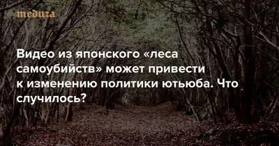 Скандально Известный Аокигахара Лес Фудзи-Хаконэ-Идзу Национального Парка  Японии. Лес Известен Как Самоубийство Лес. До 100 Самоубийств Происходят  Здесь Каждый Год. Фотография, картинки, изображения и сток-фотография без  роялти. Image 34799701