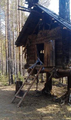 Лес Чудес, игровое пространство в Иркутске на Сергеева, 3Б/1 — отзывы,  адрес, телефон, фото — Фламп