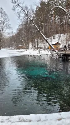 Коттеджный поселок Лес и река на Новорижском шоссе, цены и фото