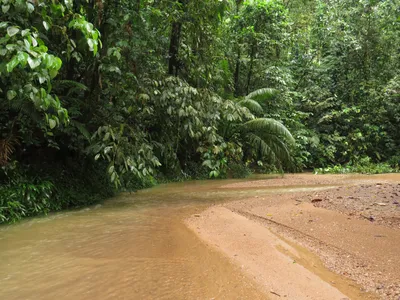 Ароматизатор Forest after Rain (Лес после дождя), 30 гр (ID#208298869),  цена: 12 руб., купить на Deal.by