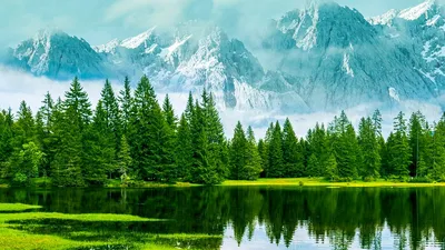 Пейзаж Природа Лес Заход - Бесплатное фото на Pixabay - Pixabay