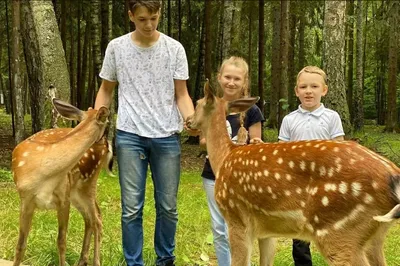 Любовь Турагент ❤️ on Instagram: “Расскажу вам чуть позже своё впечатление  от загородного отеля Лес Арт Резорт. А пока ловите подборку в Египе… |  Отель, Лес, Египет