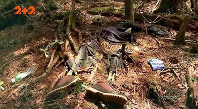 Жуткий лес самоубийц в Японии: ужасные обряды и разноцветные ленточки  дороги смерти