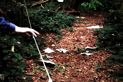 Лес самоубийц / Suicide Forest /Village Jukai Mura (2021): фото, кадры и  постеры из фильма - Вокруг ТВ.