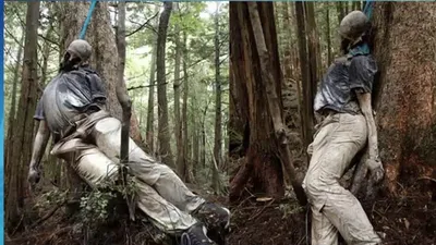 RUTUBE - «Лес самоубийц» — это лес Аокигахара у подножия... | Facebook