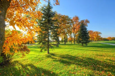 Осенний лес издалека - 72 фото
