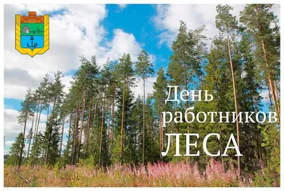 9 сентября — покатушка для СТАНДАРТа — Теряевский лес 4х4 — Lada 4x4 3D,  1,7 л, 2015 года | покатушки | DRIVE2