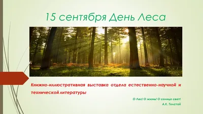 Лес - под защиту - Новости Сорокинского района