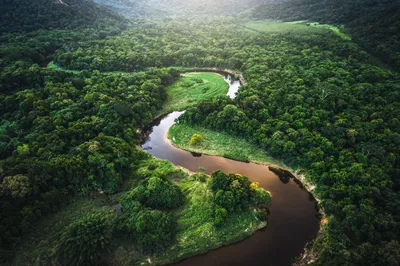 Дождевые леса амазонки - 66 фото