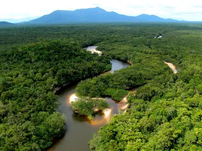 Тропические леса Амазонки –... - Весь мир с VizaVsem | Facebook