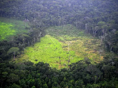Туманные Тропические Леса Амазонки В Бразилии — стоковые фотографии и  другие картинки Дождевой лес - Дождевой лес, Дождевой лес Амазонии,  Амазония - iStock