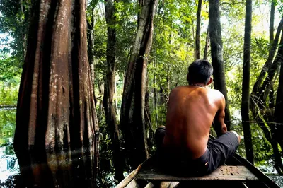 Как исчезают леса Амазонки: взгляд из космоса - BBC News Русская служба