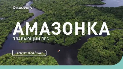 Дождевые леса Амазонии - 77 фото