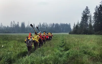 Власти Якутии назвали ошибкой сообщение о вырубке лесов из-за пожаров — РБК