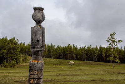 Якутия: таёжные леса, сырая рыба и мамонты - Телеканал «Моя Планета»