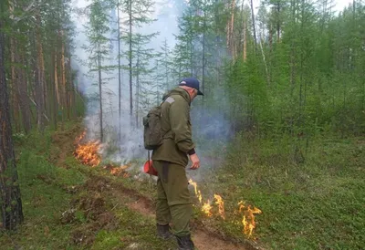 Приморские пожарные спасли 16 тысяч гектаров леса в Якутии - PrimaMedia.ru