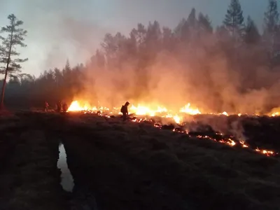 Лесные пожары в Якутии: почему горят леса, и есть ли деньги у  муниципалитетов на их тушение