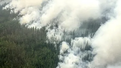 Россия снова в огне: в Якутии и Челябинской области горят леса