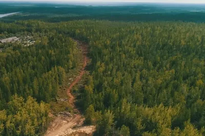 Леса Якутии покроются золой, красиво…» — создано в Шедевруме