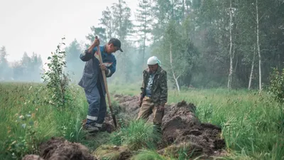 Восстановить на 30 тысяч гектар леса больше чем в прошлом году намерены в  Якутии - Новости Якутии - Якутия.Инфо