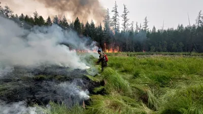 Пройденная огнем площадь лесных пожаров в Якутии составила более 7 млн га —  РБК