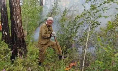 В Якутии к лесозаготовке подойдут бережно — Твой Дальний Восток