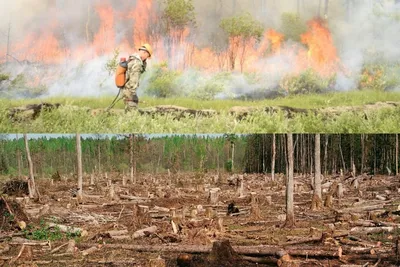 Комплекс противодействия лесным пожарам Якутии может быть рекомендован  другим регионам — ЯСИА
