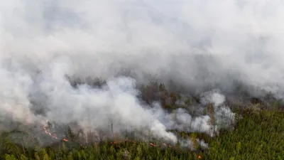 Крупный лесной пожар в Якутии не удается потушить с 14 июня - Арктикпост