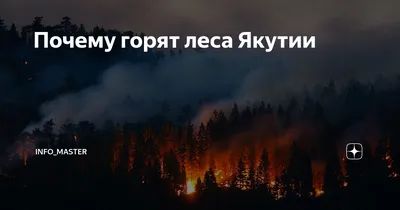 Сто тысяч гектаров леса восстановят в Якутии в 2022 году - Информационный  портал Yk24/Як24