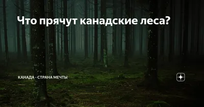 Озеро в лесу Канады стоковое изображение. изображение насчитывающей  отражение - 160994915