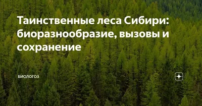 Озеро леса Сибири. Tagasuk Россия озера Стоковое Изображение - изображение  насчитывающей ландшафт, сибирь: 202248197