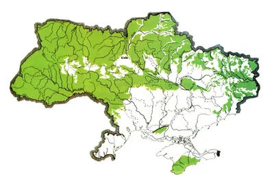 Леса Украины - красивые фото