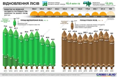 Обои на рабочий стол Еловые леса и озеро в восточных Карпатах, Украина,  обои для рабочего стола, скачать обои, обои бесплатно