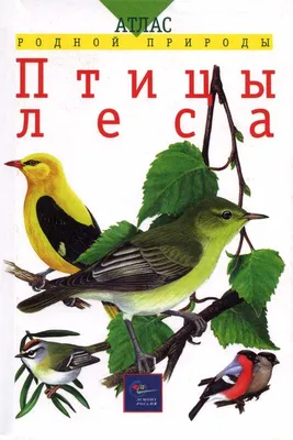 Энциклопедия \"Птицы России\". Таблица 42