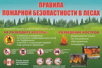 Пожарная безопасность в лесу » Официальный сайт МО Белоостров