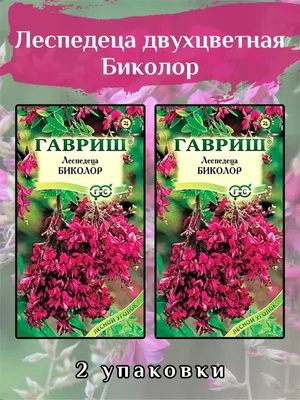 Бобовник, леспедеца и клетра-кустарники, которые вам не нужны | Дневник  садовницы | Дзен