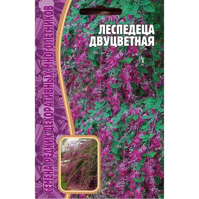 Семена Леспедеца двуцветная Биколор 5 шт. купить в Москве, цена в  интернет-магазине