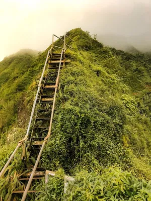Hiking the Stairway to Heaven (Haʻikū Stairs) Trail on Oʻahu: What You Need  to Know! - Updated 2024 — noahawaii