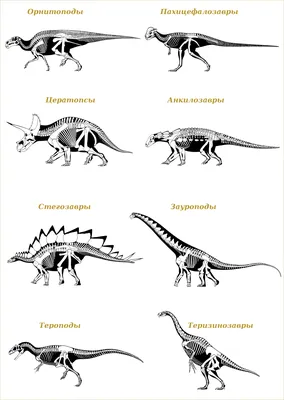 Птерозавры Летающие Динозавры Пластиковые Имитационные Игрушки  Коллекционная Модель Динозавра – лучшие товары в онлайн-магазине Джум Гик