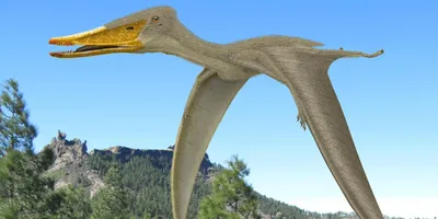Летающие динозавры и фото фото