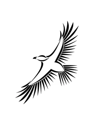 коричнево белая летящая птица на голубом небе · Бесплатные стоковые фото