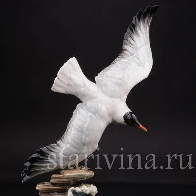 Летящая птица - картинки и фото poknok.art