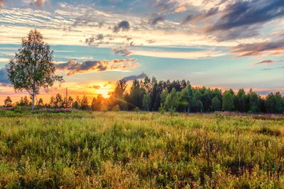 Летний закат🍀☀️ | Закаты, Природа