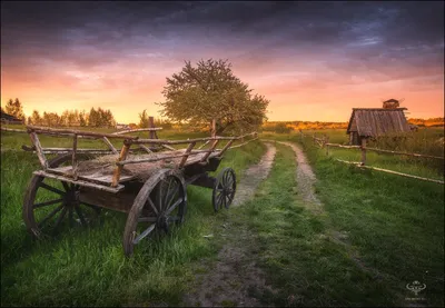 Летний закат \"1 день лета\" Ура🥳 в 2023 г | Летние фотографии природы,  Летний пейзаж, Закаты