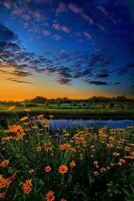 Летний закат в деревне..... Photographer Mikhail Vorobyev